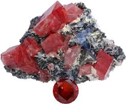 Image result for Isoberlinia tomentosa