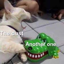 Maybe you would like to learn more about one of these? 21 Another One Bites The Dust Ideas In 2021 Funny Memes Funny Pictures Another One