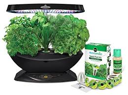 The mold can indeed get into the wood and cause inside color problems. Aerogarden 7 Review Does This Indoor Smart Garden Actually Work All Home Robotics