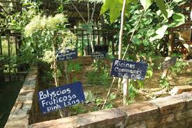 Repel the ants from your raised garden bed by merely wetting the bed to keep it moist. What Is The Optimal Garden Bed To Grow Vegetables These 6 Beds Follow The Natural Farming Permaculture Principles Flowful