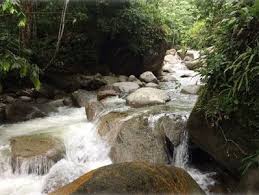 Useful tips for air travellers: Sungai Batang Kali Small Hydro Electric Power Plant Worldwide Environment