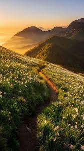 Aesthetic sunset landscape vintage aesthetic yellow flowers red rose aesthetic background vintage nature background aesthetic retro aesthetic landscape pastel aesthetic phone backgrounds ocean computer backgrounds aesthetic aesthetic collage landscape aesthetic. Landscape Road Mountains Sunrise 720x1280 Wallpaper Beautiful Nature Nature Photography Nature Aesthetic
