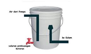 Filter Kolam Ikan Dari Ember Infoakuakultur Com