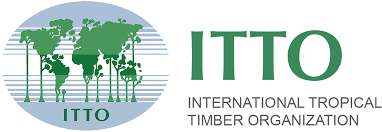 We did not find results for: Projects Itto The International Tropical Timber Organization