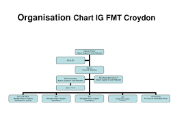 Ppt Organisation Chart Ig Fmt Croydon Powerpoint