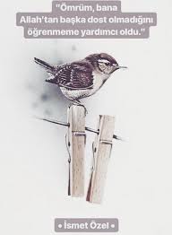 Katre Adli Kullanicinin Bildigim Hissi Hayatim Panosundaki Pin