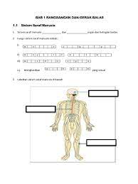 Topik ini sangat penting dan sering memasuki topik ini sangat penting dan sering memasuki peperiksaan pt3. 1bab 1 Rangsangan Dan Gerak Balas