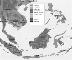 Tropical rainforests are located between 10°n and 10°s of the equator where temperatures stay near 28°c throughout the year. Tropical Rain Forests An Overview Sciencedirect Topics