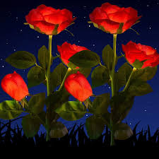 We did not find results for: Solar Rose Lights Outdoor Solar Garden Stake Lights 2 Pack Solar Flowers Lights Outdoor Garden Waterproof Led Roses Flowers Lights Yard Decorations Outdoor Color Changing Red Buy Online In Bahrain At Bahrain Desertcart Com Productid
