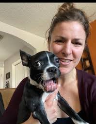 Book dog massage appointments for July and August