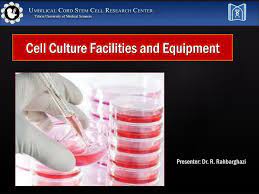 Maybe you would like to learn more about one of these? Ppt Cell Culture Facilities And Equipment Powerpoint Presentation Free Download Id 1894367