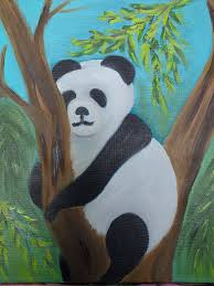 Image result for Panda oleosa