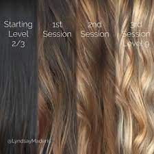 Instagram Photo By Lyndsay Maderis May 19 2016 At 6 37pm Utc Black To Blonde Hair Hair Styles Dark To Light Hair