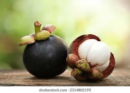 Image result for Garcinia mangostana