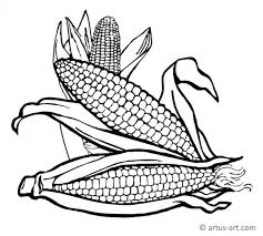 Roasting corn cob coloring page : Corn Coloring Page Printable Coloring Page Artus Art