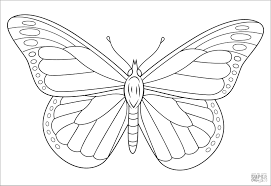 Free download 35 best quality blue morpho butterfly coloring page at getdrawings. Monarch Butterfly Coloring Page Coloringbay