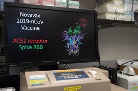 During the day the stock fluctuated. How Covid 19 Vaccine Maker Novavax Stock Surges 2 500 On Mere Hopes Observer