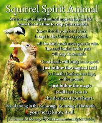 Squirrel totem people tend to be a little erratic at times, often trying to do many things at once. Squirrel Spirit Animal Spirit Animal Animal Spirit Guides Animal Totem Spirit Guides