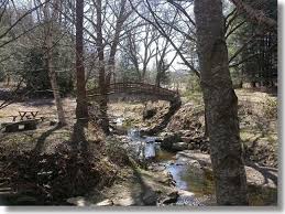 What is the largest botanical garden? Botanical Gardens At Asheville Visitnc Com