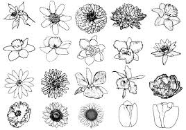 Every day new pictures and just beautiful wallpaper for your desktop flowers completely free. Flower Drawing Ink Drawing Flower Brushes Free Photoshop At Brusheezy Jpg Cliparting Com