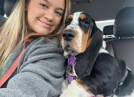 Remembering a beloved basset hound, Mozzie