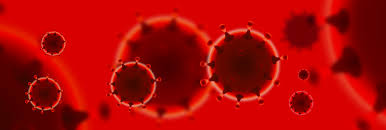 Trois (quatre dans 50 % des chambres) sous réserve des conditions de surfaces, d'équipement (notamment un siège mobile par personne) et d'habitabilité). Covid 19 Foire Aux Questions Rentree Scolaire 2020