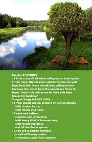 Ezekiel 47 12 Niv Their Fruit Will Serve For Food And Their Leaves For Healing Living Water Treasures In Heaven Ezekiel