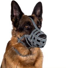 Check spelling or type a new query. Collardirect Leder Maulkorb Fur Hunde Deutscher Schaferhund Dalmatiner Rottweiler Setter Korb Medium Grosse Rassen Pink Grau Maulkorbe Geschirre Halsbander Leinen Areapartner Se