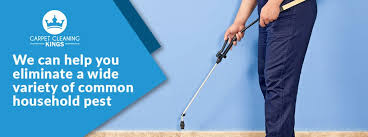 All pro pest control delivers professional pest control services in redlands, bayside and south brisbane. Pest Management And Control Carpet Cleaning Kings
