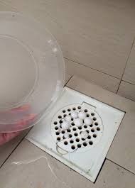get rid of drain flies