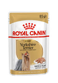Yorkshire Terrier Yas Royal Canin