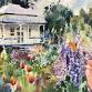 Watercolour Workshop event image
