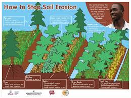 To be used as soil erosion control, the gravel needs to be hewn from natural stone that is porous such as sandstone because this allows water to soak through the tiny capillaries within the rock and get to the soil. Soil Erosion Online Presentation
