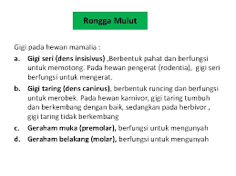 Check spelling or type a new query. Bab 5 Sistem Pencernaan Makanan Tujuan Pembelajaran Setelah