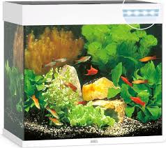 juwel lido 120 led aquarium olibetta online shop