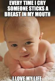 I'd seen a bunch of them before 50 Hilarious Breastfeeding Memes Thrifty Nifty Mommy