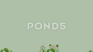 Growing Vines And Flourishes Lotus Flower Plants Seamless Pattern Alpha Channel Stock Footage Ad Lotus Flower Plants Gr Growing Vines Planting Flowers Vines