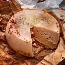 Le Casu Marzu Le Fromage A Larves Le Plus Dangereux Du Monde Fromage Alimentation