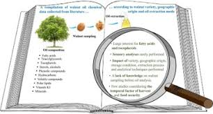Image result for Medium Walnut 1990 Tracer