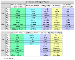 27 Unfolded Latin Personal Pronoun Chart