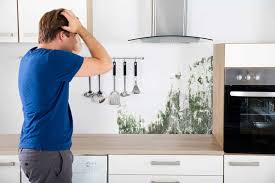 Risanare scantinati umidi come fare scopri le soluzioni. Muffa Sui Muri Di Casa Come Rimuoverla E Prevenirla