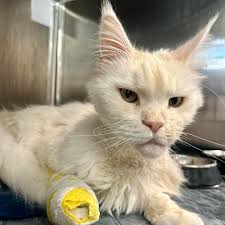 Molly è arrivata al...