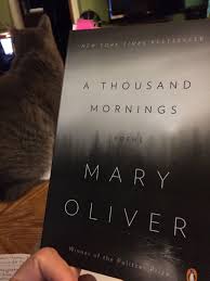 Nice Poems For Yoga Class Yoga Reading Poems Morning Poem