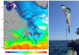 Scientists@Sea: May 2015