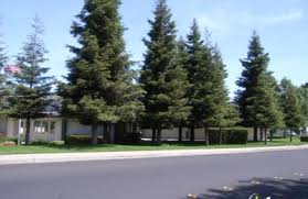 Stories and articles related to residential pest control services. Gng Termite Control 2401 Stanwell Dr Concord Ca 94520 Yp Com