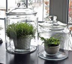 Check spelling or type a new query. 7 Best Glass Canister Decorations Ideas Apothecary Jars Apothecary Jar Ideas Decorated Jars