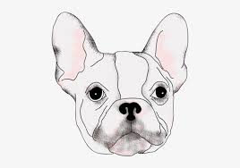 Can the net harness a bunch of volunteers to help bring books in the public domain to life through podcasting? Drawing Bulldogs Realistic French Bulldog Free Transparent Png Download Pngkey