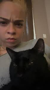 Looking for a long hair kitten?