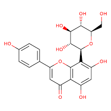 Image result for Eriosema laurentii