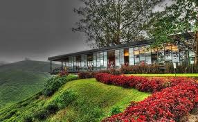 1.1 boh tea plantations cameron highlands. Boh Tea Plantation Cameron Highlands Tour Busonlineticket Com